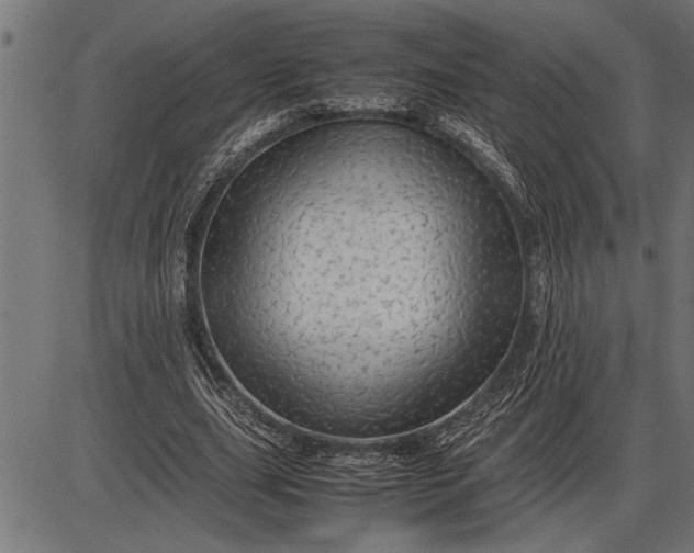 X0000086090631200704091327