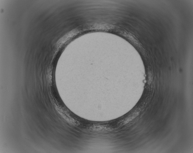 X0000086090632200704091327