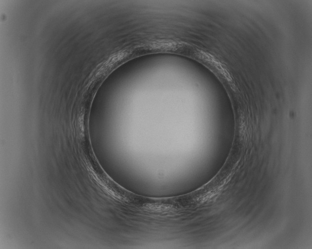 X0000086090633200704091327