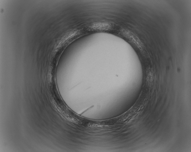 X0000086090635200704091327