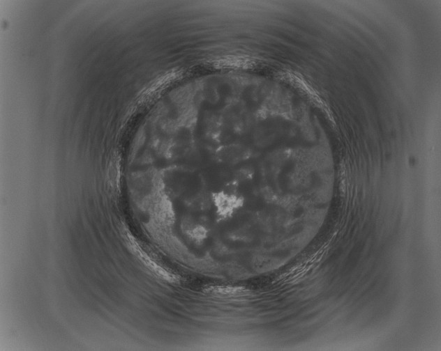 X0000086090637200704091327