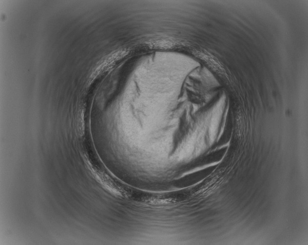 X0000086090638200704091327