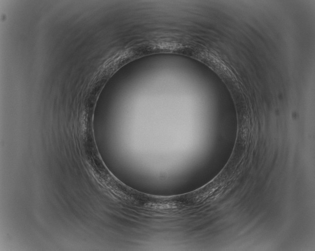 X0000086090639200704091328