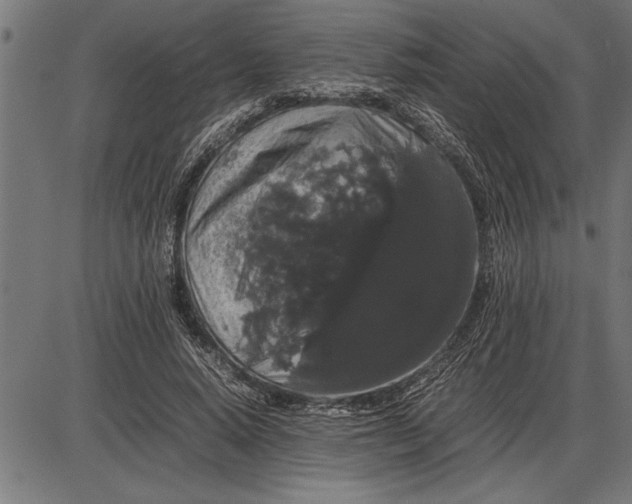 X0000086090640200704091328