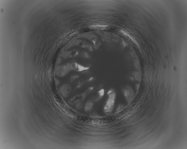 X0000086090641200704091328