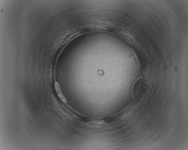 X0000086090642200704091328