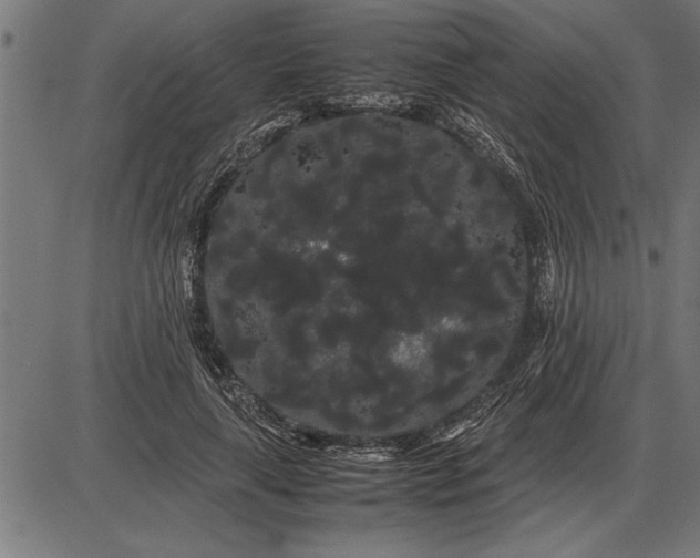 X0000086090643200704091328