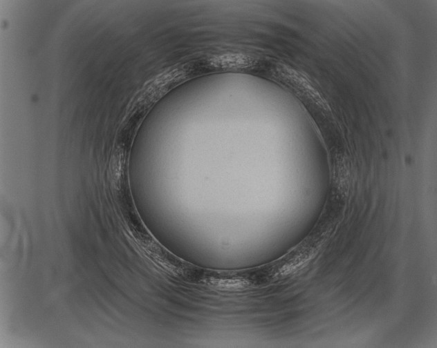 X0000086090645200704091328