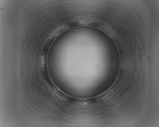 X0000086090646200704091328