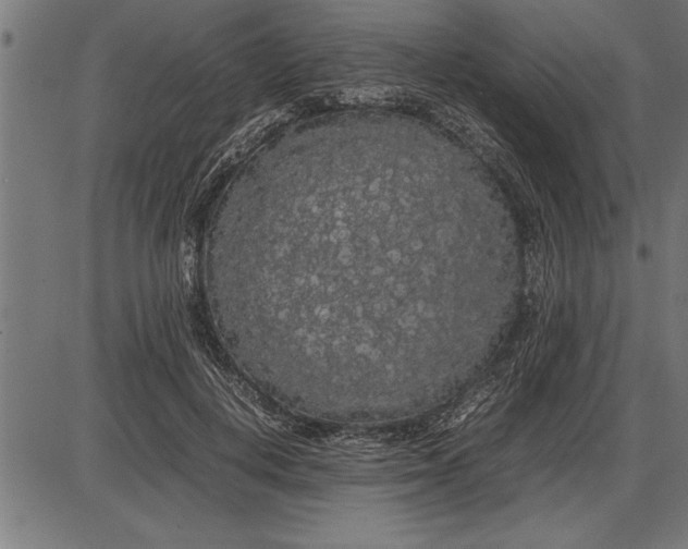 X0000086090648200704091328