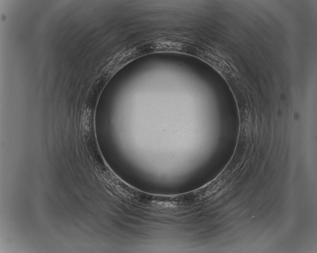 X0000086090649200704091328