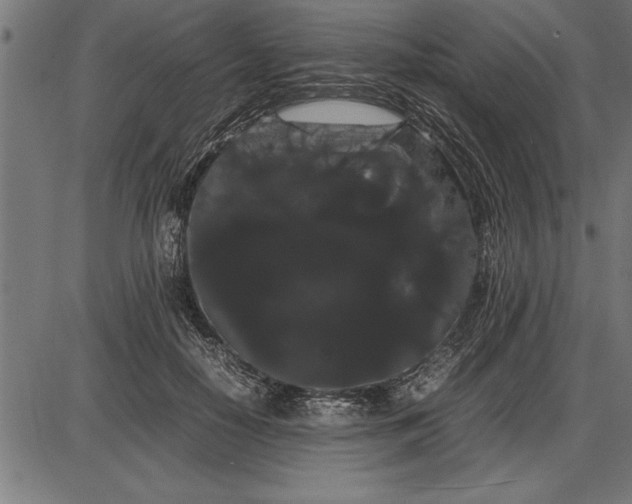 X0000086090650200704091328