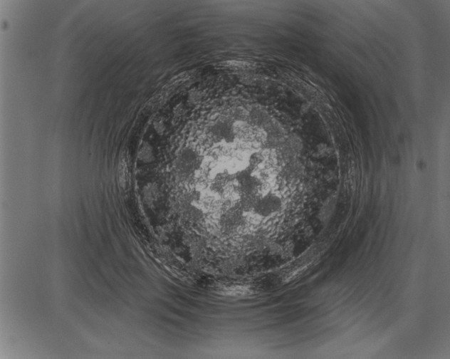 X0000086090651200704091328