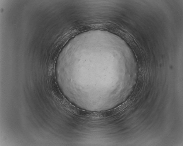 X0000086090652200704091328