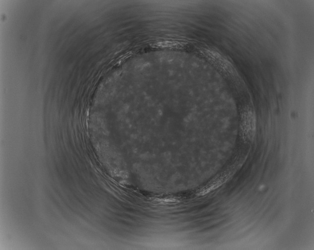 X0000086090653200704091328