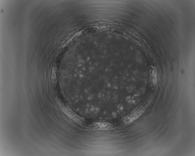 X0000086090654200704091328