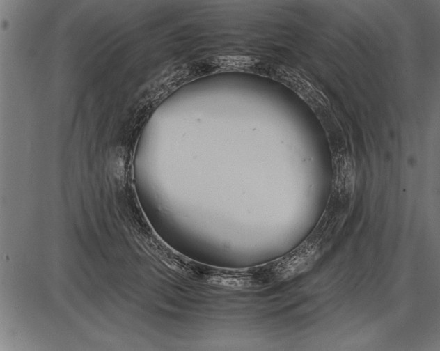 X0000086090655200704091328