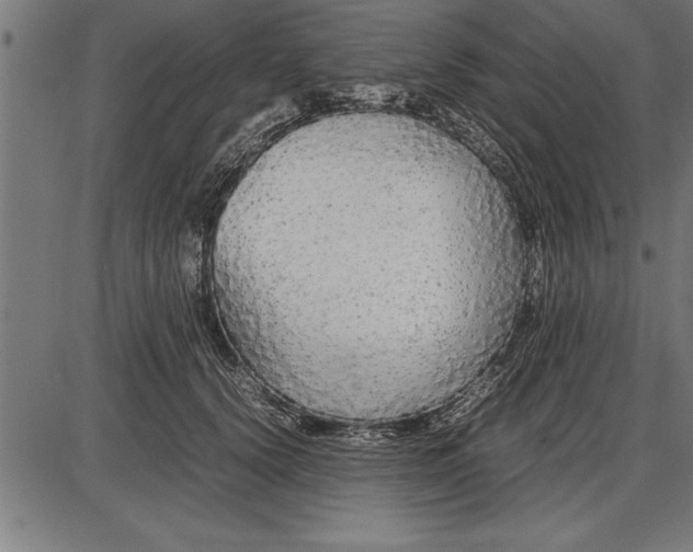 X0000086090656200704091328