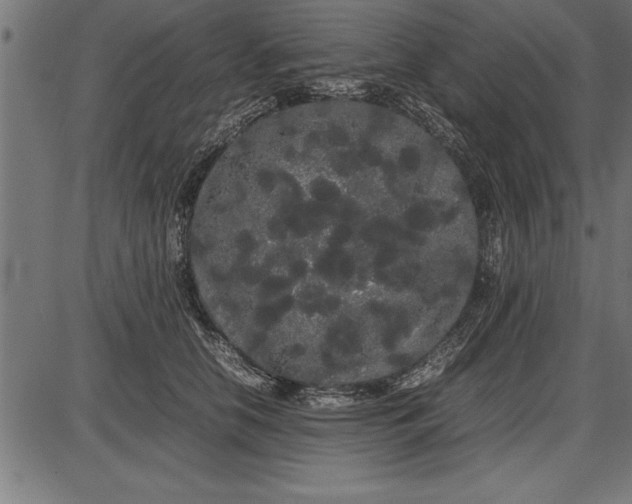 X0000086090658200704091328