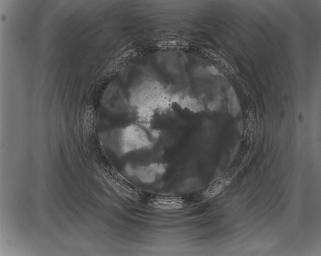 X0000086090659200704091328