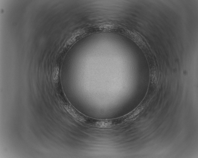 X0000086090660200704091328