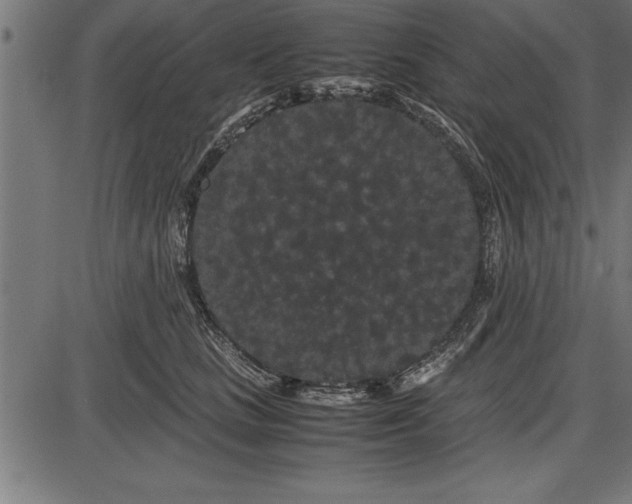 X0000086090661200704091328