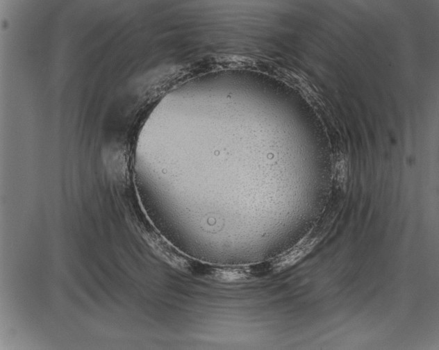 X0000086090662200704091328