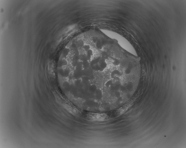 X0000086090663200704091328