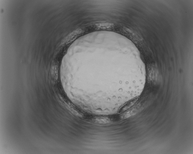 X0000086090666200704091328