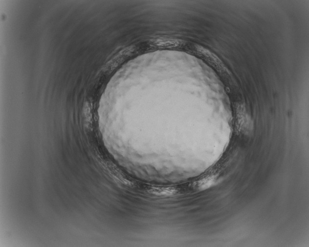 X0000086090667200704091328