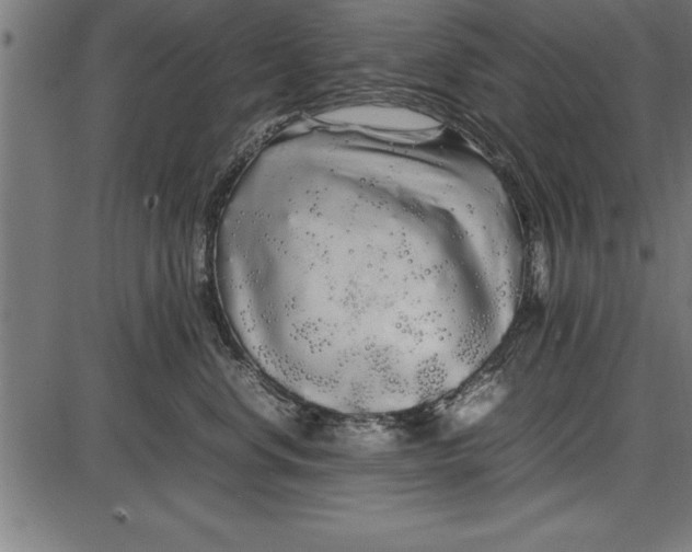 X0000086090668200704091328