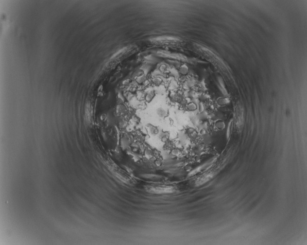 X0000086090669200704091328