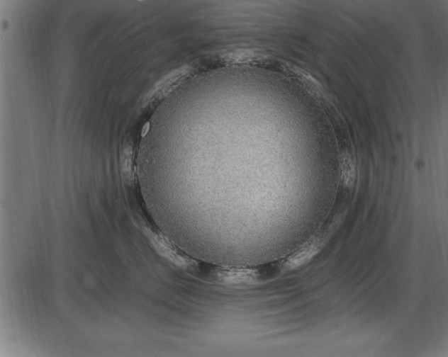 X0000086090670200704091328