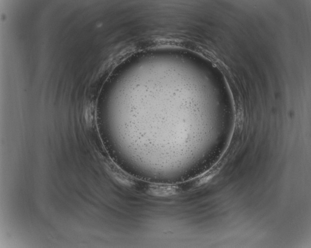 X0000086090671200704091328