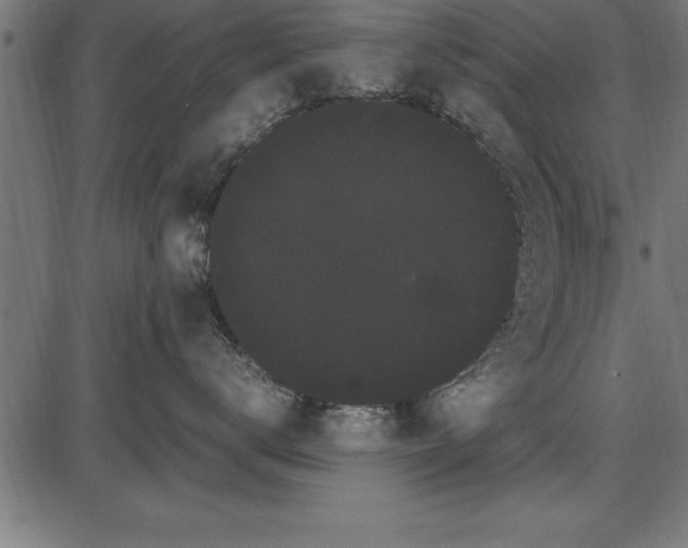 X0000086090672200704091328