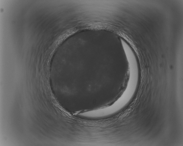 X0000086090673200704091327