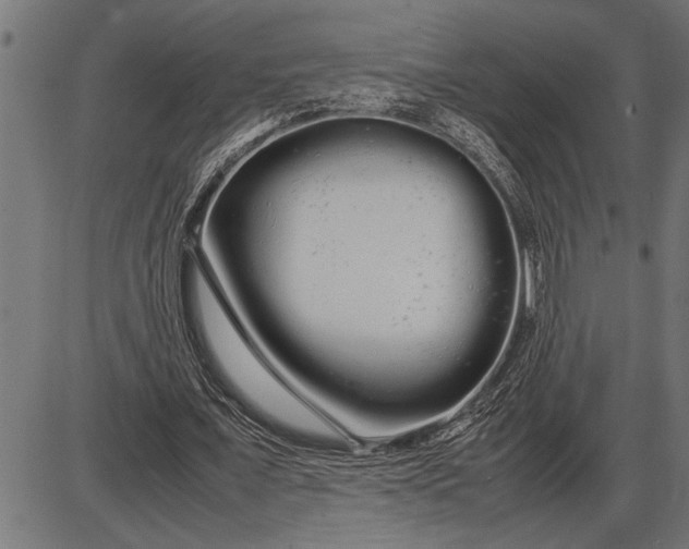 X0000086090675200704091327