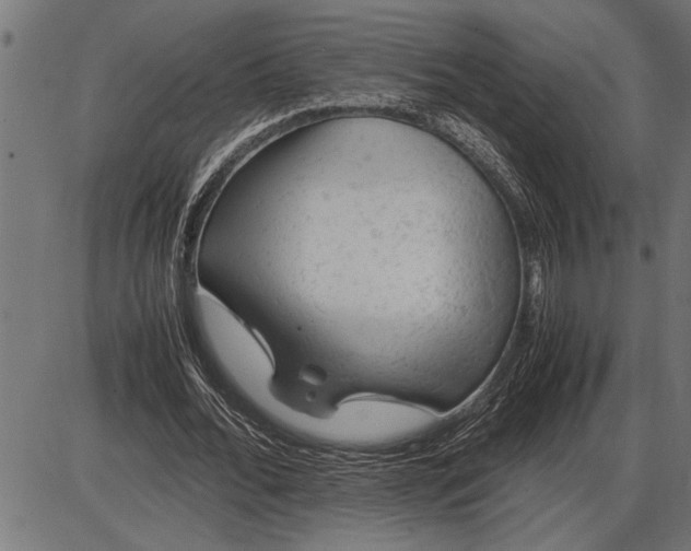 X0000086090676200704091327