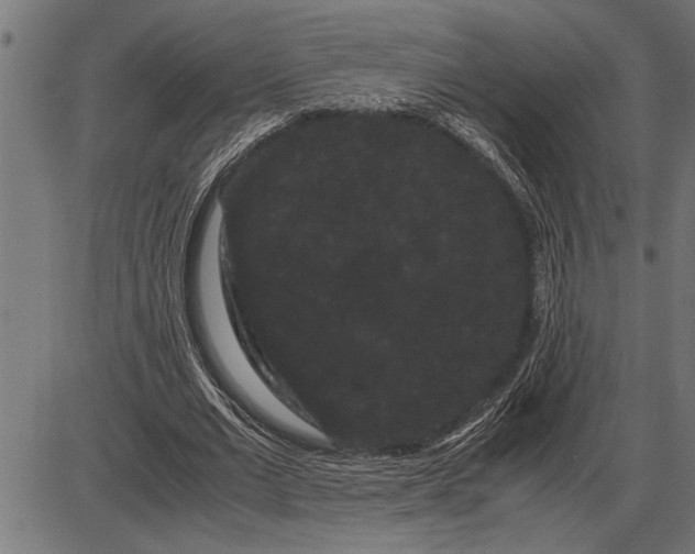 X0000086090677200704091327