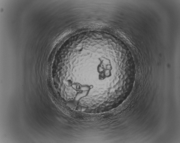 X0000086090679200704091327