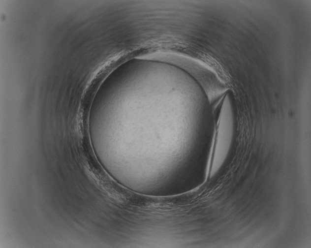 X0000086090680200704091327