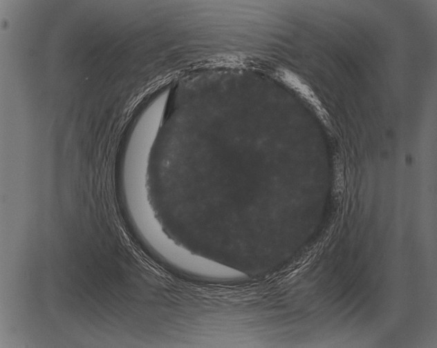 X0000086090681200704091327