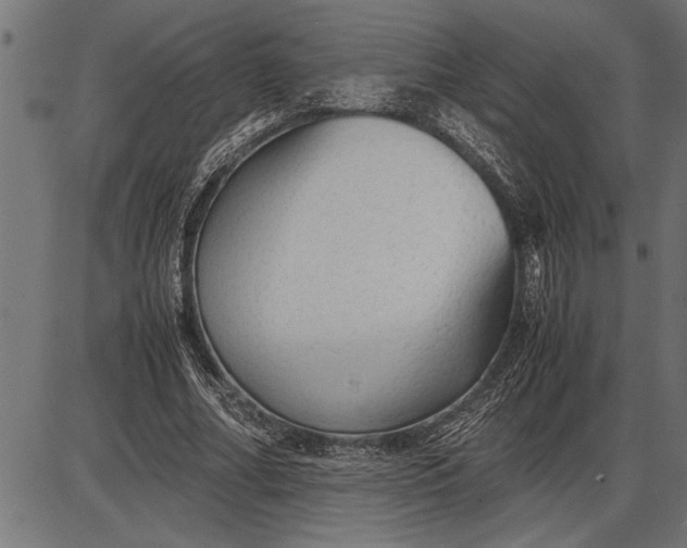 X0000086090682200704091327