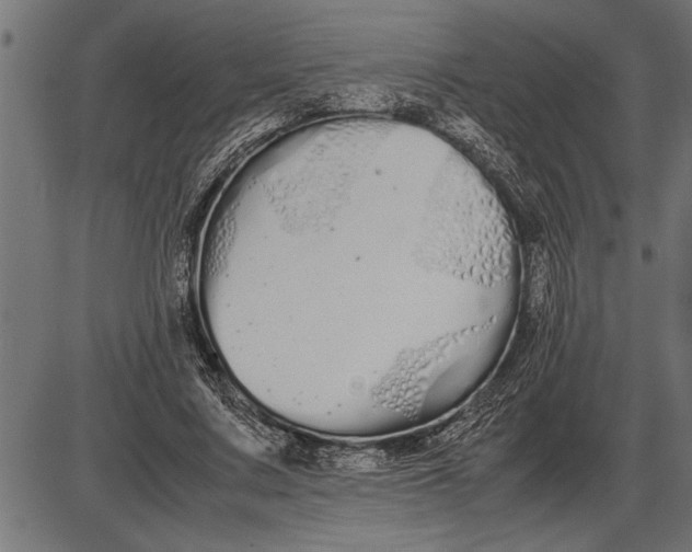 X0000086090683200704091327