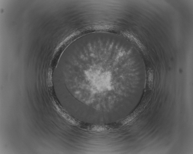 X0000086090684200704091327