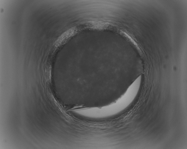 X0000086090685200704091327