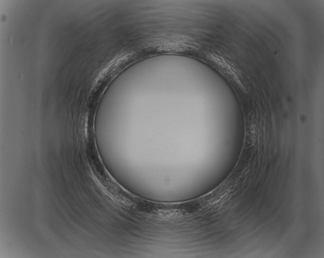 X0000086090686200704091327