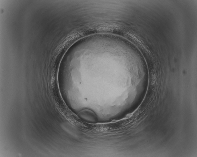 X0000086090687200704091327