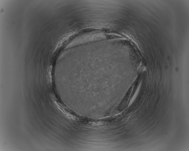 X0000086090688200704091327