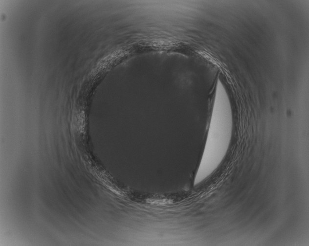 X0000086090689200704091327